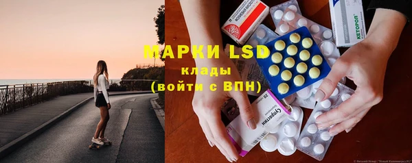 спиды Магас