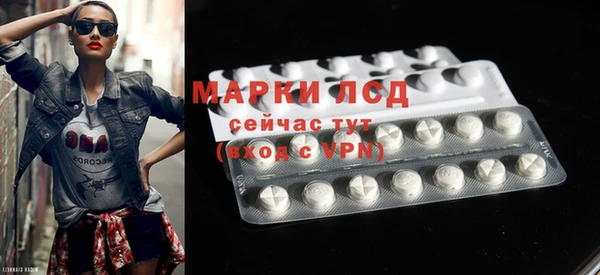 спиды Магас
