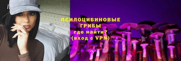 спиды Магас