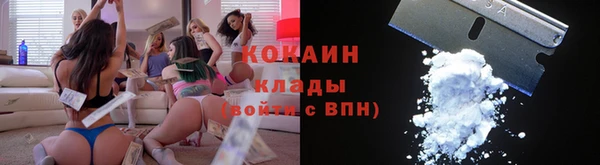 спиды Магас