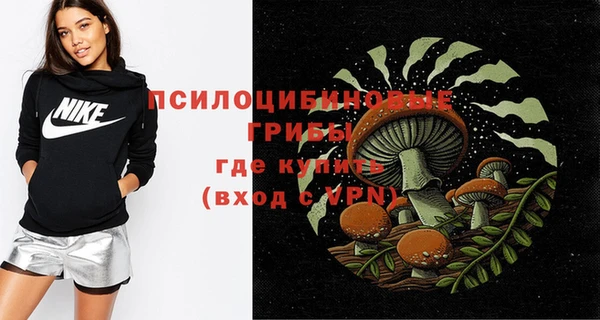 спайс Медвежьегорск