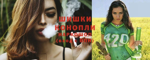 спиды Магас