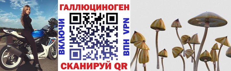Галлюциногенные грибы Cubensis  дарнет шоп  Улан-Удэ 